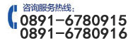 +86-0000-96877